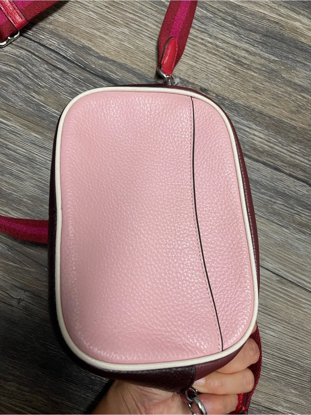 Coach Mini Jamie Camera Bag with Ski Speed Graphic in Powder Pink Wine Multi